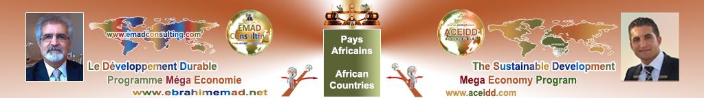 EMAD Consulting & ACEIDD, Practices of the International in Africa