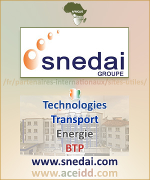 AICEIDD et SNEDAI