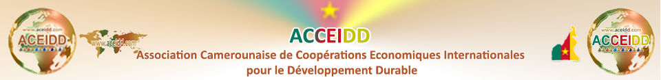 ACEIDD, Partenaires internationaux - ACCEIDD - La R. du Cameroun