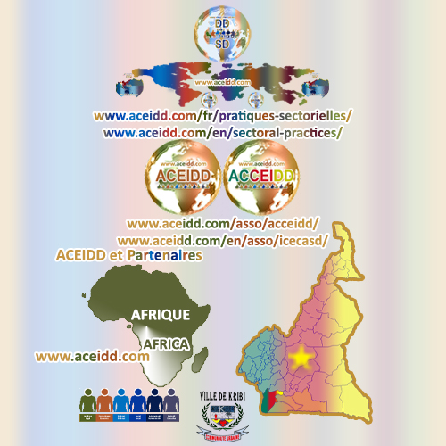 ACEIDD, ACCEIDD à Kribi et le Développement Durable de la République du Cameroun 