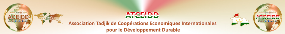 ACEIDD ATCEIDD + EMAD Consulting