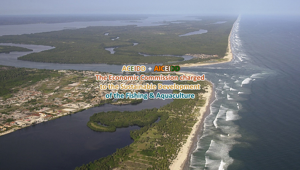 ACEIDD, AICEIDD, RCI, Grand-Bassam, Sustainable Development of Fishing and Aquaculture