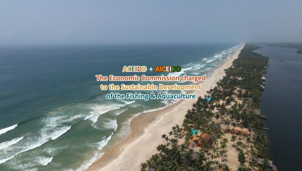 ACEIDD, AICEIDD, RCI, Grand-Bassam, Sustainable Development of Fishing and Aquaculture