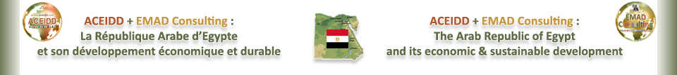 R. Arabe d'Egypte