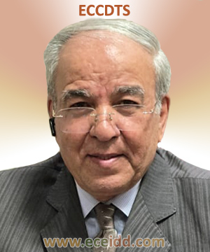 Reza HEIRANI, Member of the Economic Commission in charge of the Development of Trade and Services 