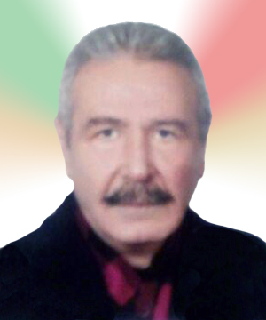 Faridreza HASHEMIZADEH