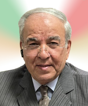 Mohammad Reza HEIRANI